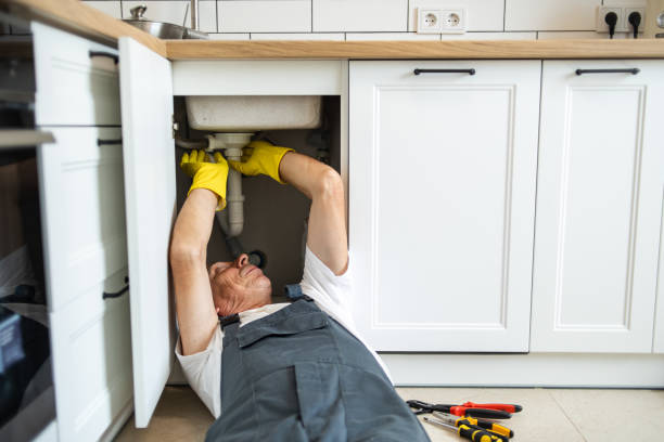 Best Affordable Plumber Near Me  in Creve Coeur, IL